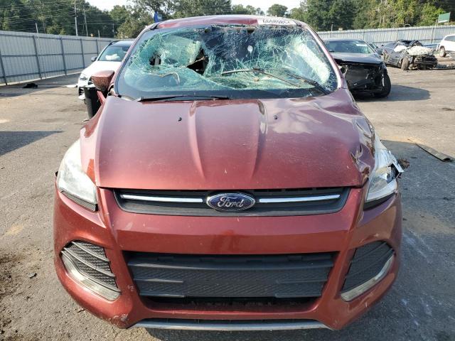 Photo 5 from auction – 2014 FORD ESCAPE SE with VIN 1FMCU0GX4EUC28633