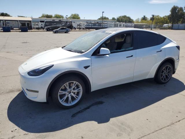 TESLA MODEL Y 2023 with VIN 7SAYGAEE0PF640183 - Photo from auction