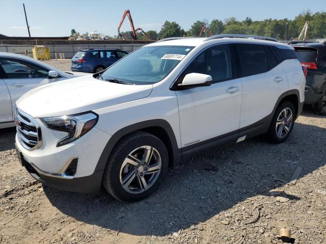 GMC TERRAIN SL 2019 with VIN 3GKALVEV4KL393685 - Photo from auction