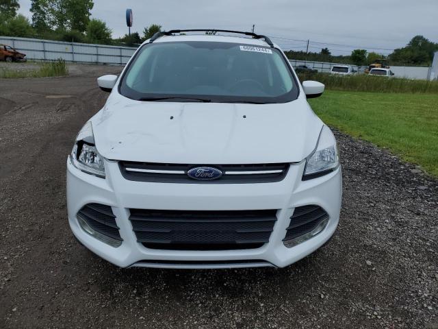 Photo 5 from auction – 2014 FORD ESCAPE SE with VIN 1FMCU9GX1EUA82941
