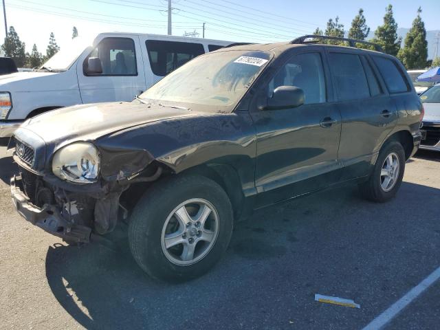 HYUNDAI SANTA FE G 2003 with VIN KM8SC13E23U526331 - Photo from auction