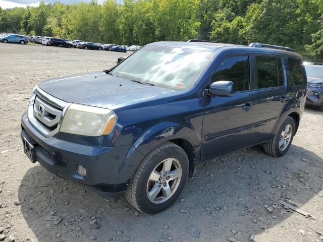 HONDA PILOT EXL 2009 with VIN 5FNYF48609B020328 - Photo from auction