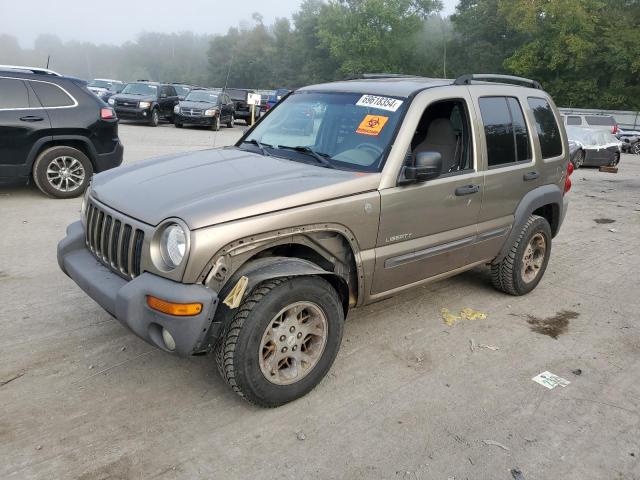 JEEP LIBERTY SP 2004 with VIN 1J4GL48K74W261402 - Photo from auction