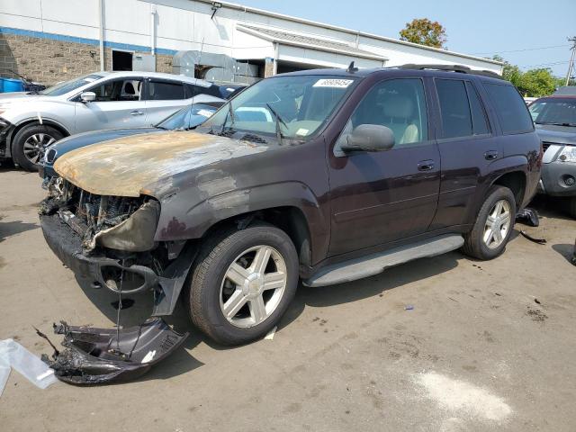 CHEVROLET TRAILBLAZE 2009 with VIN 1GNDT33S492101543 - Photo from auction