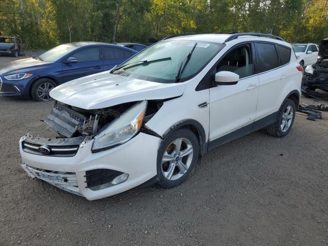 FORD ESCAPE SE 2014 with VIN 1FMCU0GX4EUB82396 - Photo from auction