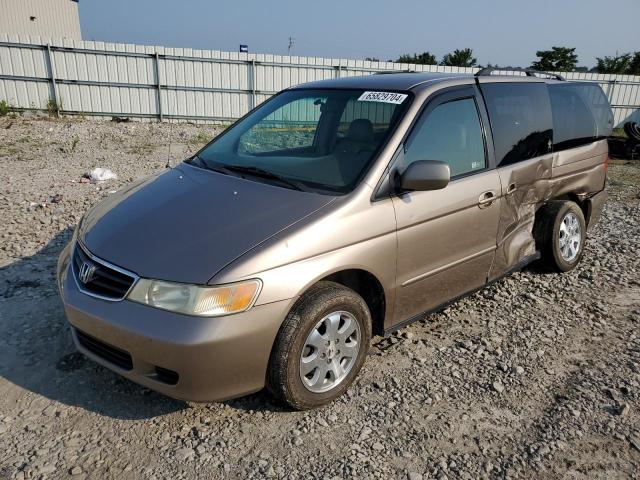 HONDA ODYSSEY EX 2003 with VIN 5FNRL18933B033359 - Photo from auction