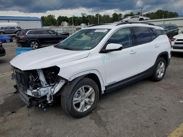 GMC TERRAIN SL 2020 with VIN 3GKALMEV4LL273123 - Photo from auction