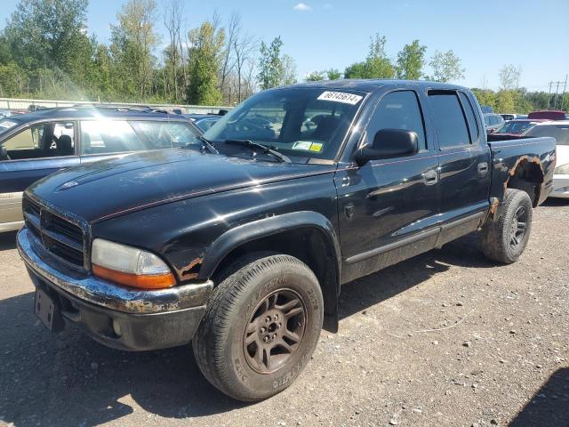 DODGE DAKOTA QUA 2004 with VIN 1D7HG48N14S503896 - Photo from auction