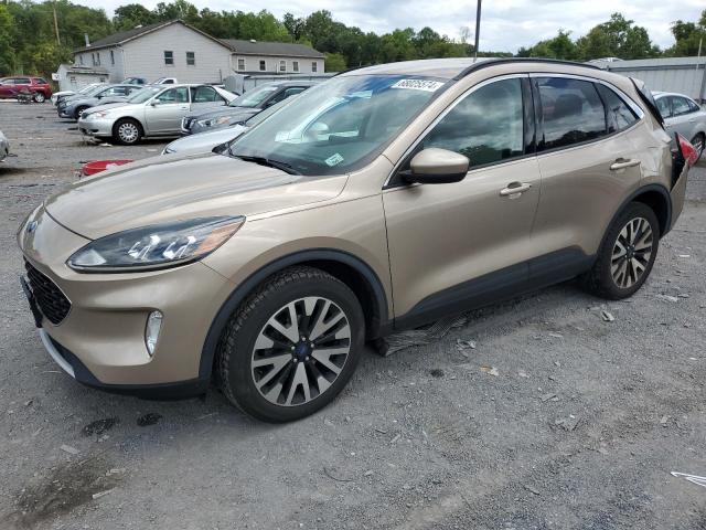 FORD ESCAPE SEL 2020 with VIN 1FMCU9H97LUA91155 - Photo from auction