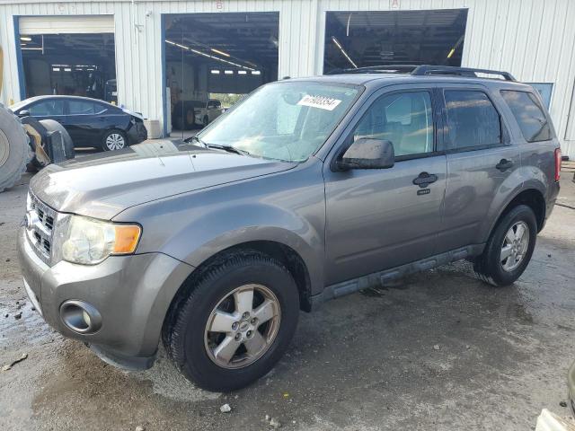 FORD ESCAPE XLT 2010 with VIN 1FMCU0D71AKD32569 - Photo from auction