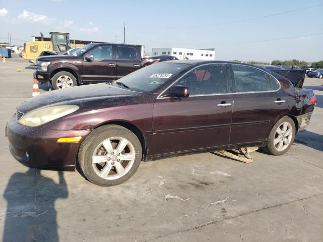 LEXUS ES 330 2006 con VIN JTHBA30G265173811 - Foto de la subasta