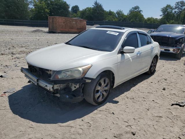 HONDA ACCORD EXL 2010 with VIN 1HGCP3F87AA021996 - Photo from auction