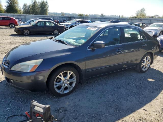 HONDA ACCORD EX 2003 with VIN 1HGCM66513A056696 - Photo from auction