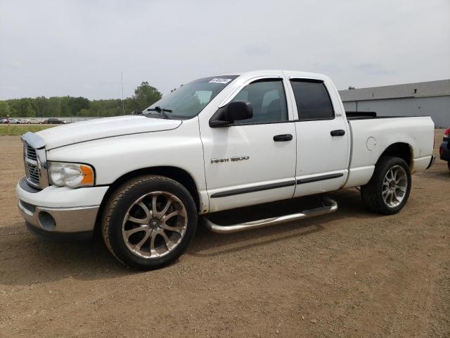DODGE RAM 1500 2002 مع رقم تعريف المركبة 1D7HA18NX2J267056 - صورة من المزاد