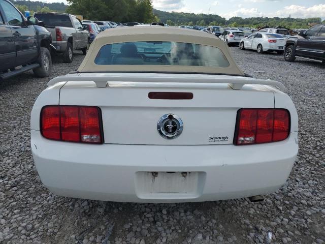 Photo 6 from auction – 2005 FORD MUSTANG with VIN 1ZVFT84N055239108