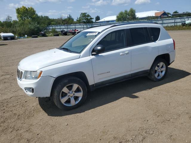 JEEP COMPASS SP 2011 with VIN 1J4NT1FB4BD253243 - Photo from auction