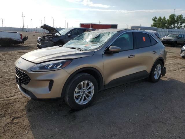 FORD ESCAPE SE 2020 with VIN 1FMCU9G67LUB69375 - Photo from auction