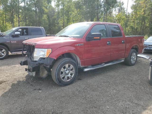 FORD F150 SUPER 2010 with VIN 1FTEW1C84AFB73157 - Photo from auction