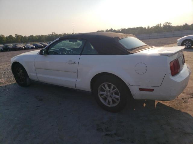 Photo 2 from auction – 2008 FORD MUSTANG with VIN 1ZVHT84N685204859