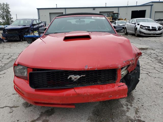 Photo 5 from auction – 2005 FORD MUSTANG with VIN 1ZVHT84N655255242