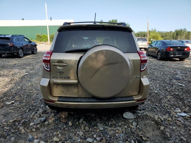 Photo 6 from auction – 2010 TOYOTA RAV4 with VIN 2T3BF4DV4AW060266