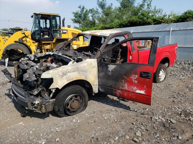 FORD F150 2010 with VIN 1FTPF1EV1AKE68378 - Photo from auction
