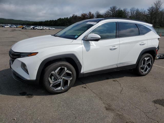 HYUNDAI TUCSON LIM 2023 with VIN 5NMJECAE1PH290969 - Photo from auction
