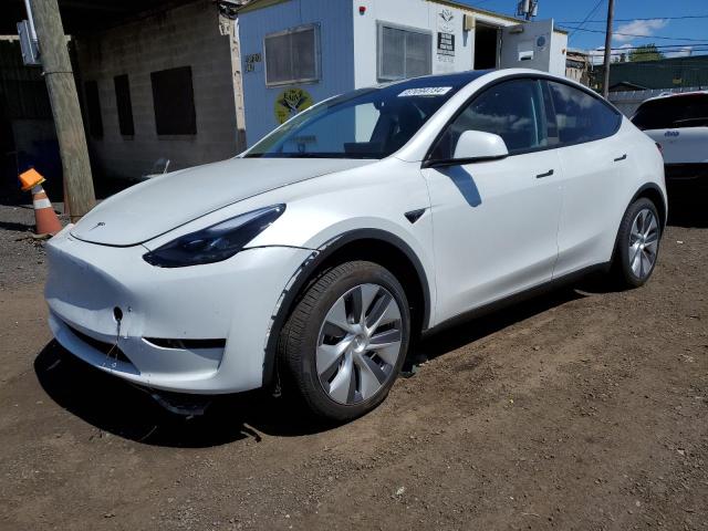 TESLA MODEL Y 2023 with VIN 7SAYGDEE6PA196385 - Photo from auction
