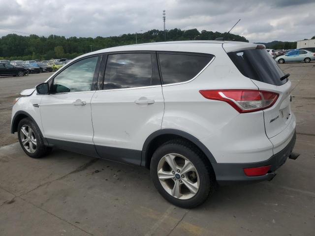 Photo 2 from auction – 2013 FORD ESCAPE SE with VIN 1FMCU0G91DUC26998