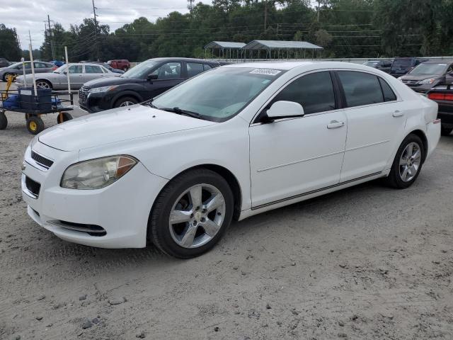 CHEVROLET MALIBU 2LT 2011 with VIN 1G1ZD5EU7BF191302 - Photo from auction