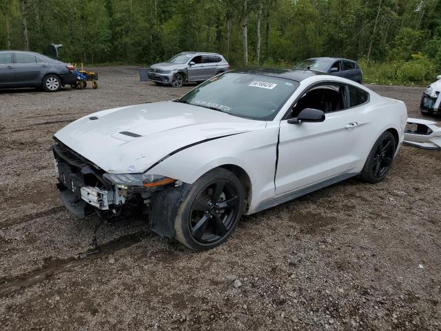 FORD MUSTANG 2021 with VIN 1FA6P8TH8M5126529 - Photo from auction