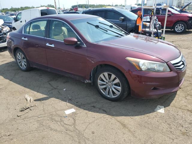 Photo 4 from auction – 2011 HONDA ACCORD EXL with VIN 1HGCP3F81BA028668