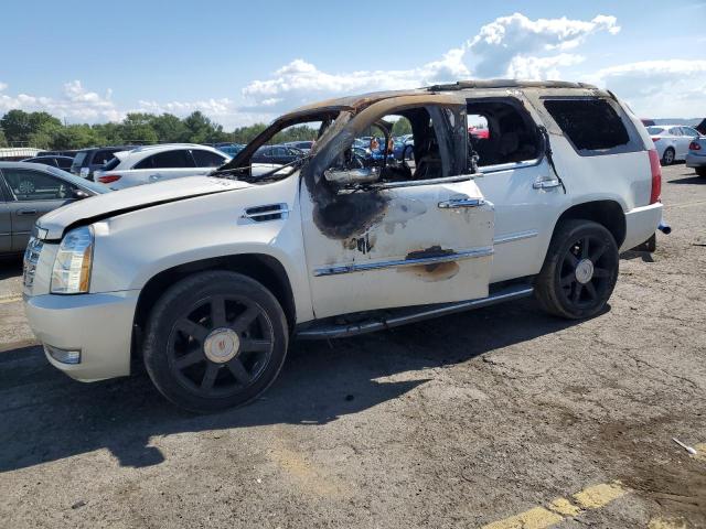 CADILLAC ESCALADE L 2010 with VIN 1GYUKBEF8AR196894 - Photo from auction