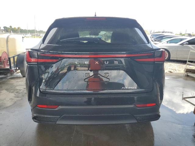 Photo 6 from auction – 2025 LEXUS NX 250 PRE with VIN 2T2GDCAZ9SC016834