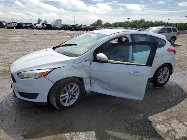 FORD FOCUS SE 2016 with VIN 1FADP3K23GL320442 - Photo from auction