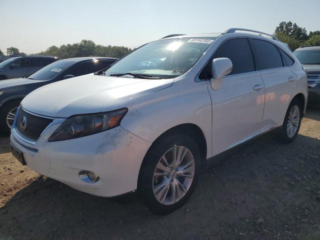 LEXUS RX 450H 2010 with VIN JTJBC1BA0A2027570 - Photo from auction