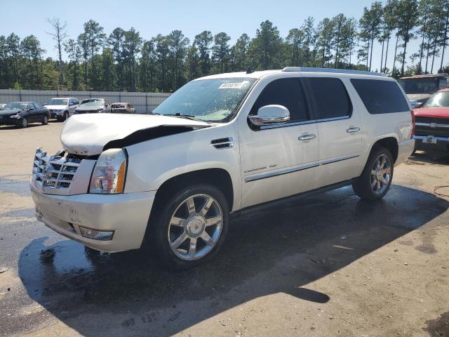 CADILLAC ESCALADE E 2010 with VIN 1GYUKJEF9AR188264 - Photo from auction
