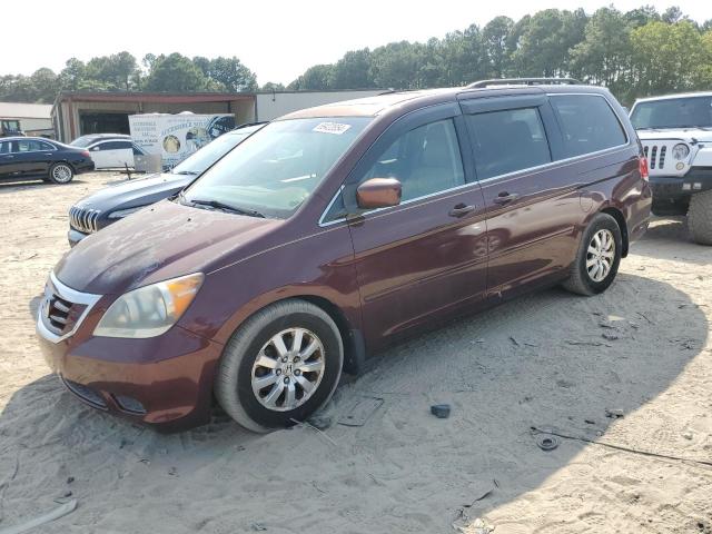 HONDA ODYSSEY EX 2009 with VIN 5FNRL38629B030009 - Photo from auction