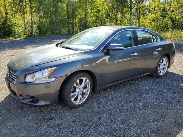 NISSAN MAXIMA S 2013 with VIN 1N4AA5AP5DC830378 - Photo from auction