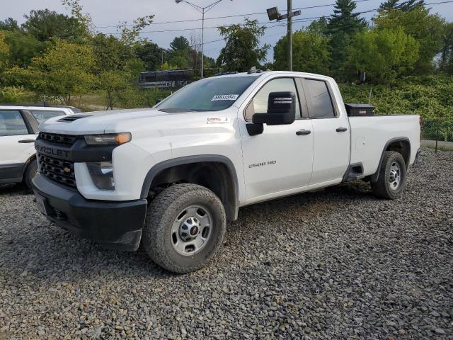 CHEVROLET SILVERADO 2023 with VIN 1GC5YLE75PF209117 - Photo from auction