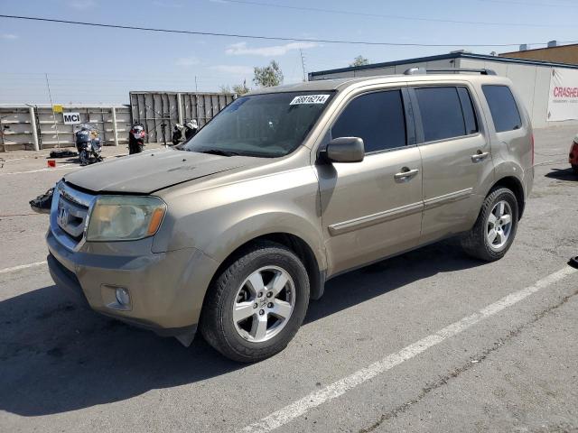 HONDA PILOT EXL 2011 with VIN 5FNYF4H6XBB038602 - Photo from auction