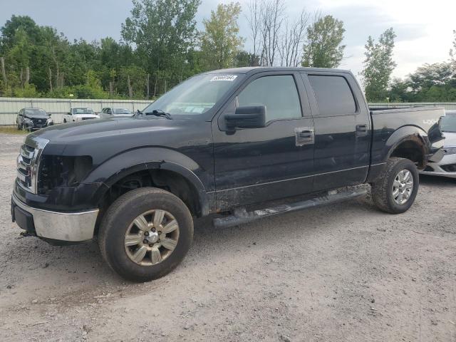 FORD F150 SUPER 2010 with VIN 1FTEW1E86AFA12256 - Photo from auction