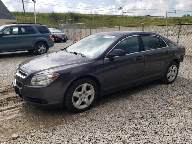 CHEVROLET MALIBU LS 2010 with VIN 1G1ZB5EBXAF235120 - Photo from auction