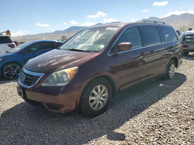 HONDA ODYSSEY EX 2008 with VIN 5FNRL38628B405329 - Photo from auction