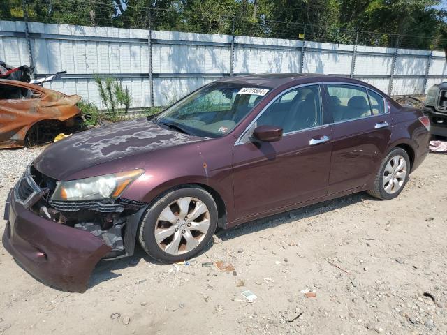 HONDA ACCORD EXL 2010 with VIN 5KBCP3F87AB013288 - Photo from auction