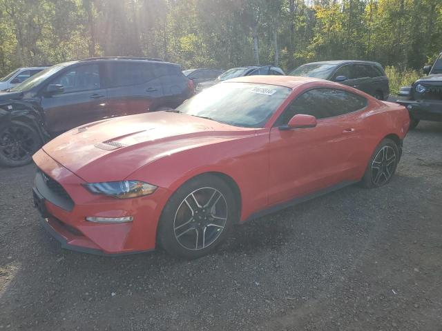 FORD MUSTANG 2018 with VIN 1FA6P8TH8J5161356 - Photo from auction