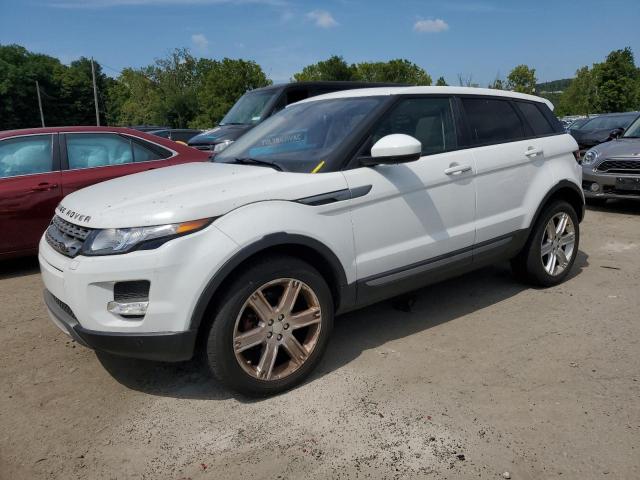 LAND ROVER RANGE ROVE 2014 with VIN SALVP2BG0EH868430 - Photo from auction