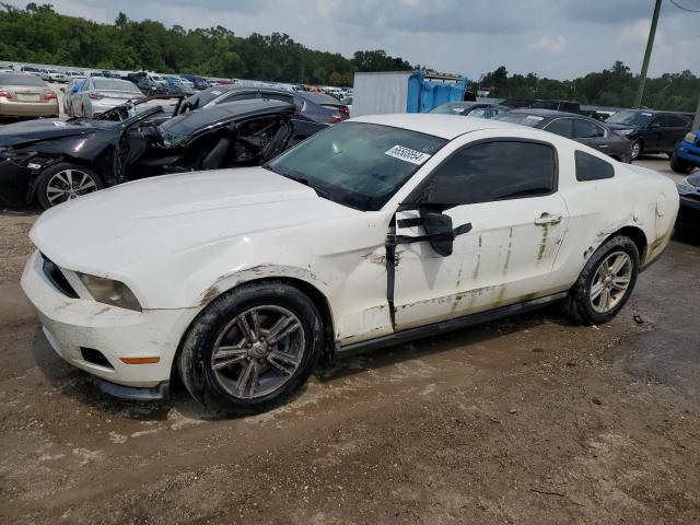 FORD MUSTANG 2011 con VIN 1ZVBP8AM6B5158317 - Foto de la subasta