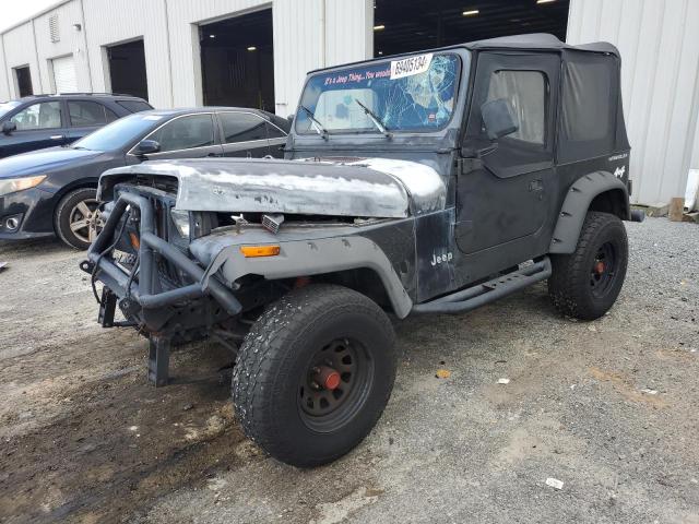 Photo 1 from auction – 1994 JEEP WRANGLER / with VIN 1J4FY19P0RP429968