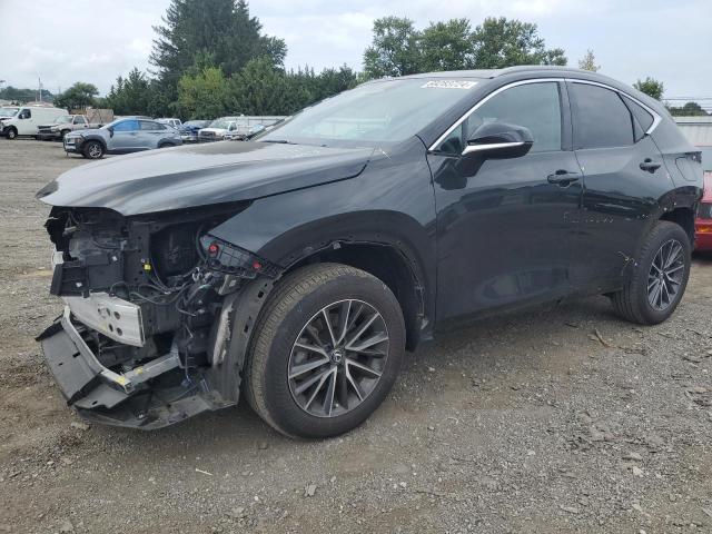 LEXUS NX 350 2023 with VIN 2T2GGCEZ8PC016364 - Photo from auction